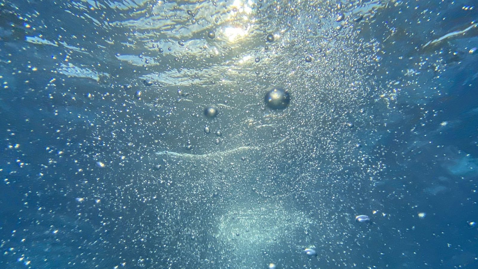 Fine bubbles rising through sunlit water