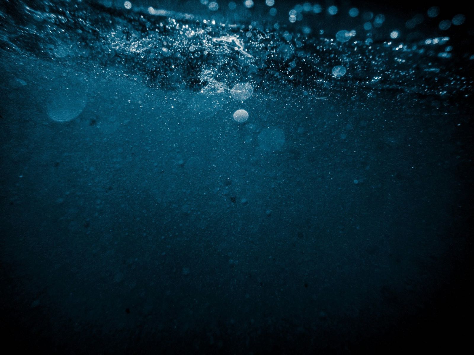 A plume of fine bubbles rising through water