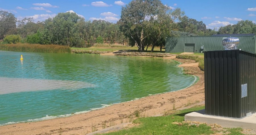 The Boat Club corner of Lake Albert, the shallows green with algae beside a Hydro2050 cabinet