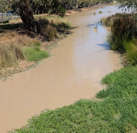 The northern corner channel of Lake Albert, the green gone and the water back to its natural colour