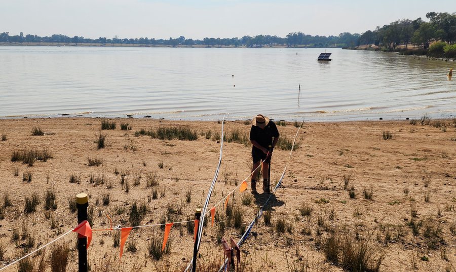 One man in a straw hat working at the edge of Lake Albert with a hand tool, beside marker flags and hose lines, the lake bed exposed by low water