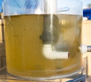 A clear-walled treatment vessel holding cloudy yellow-brown sea water
